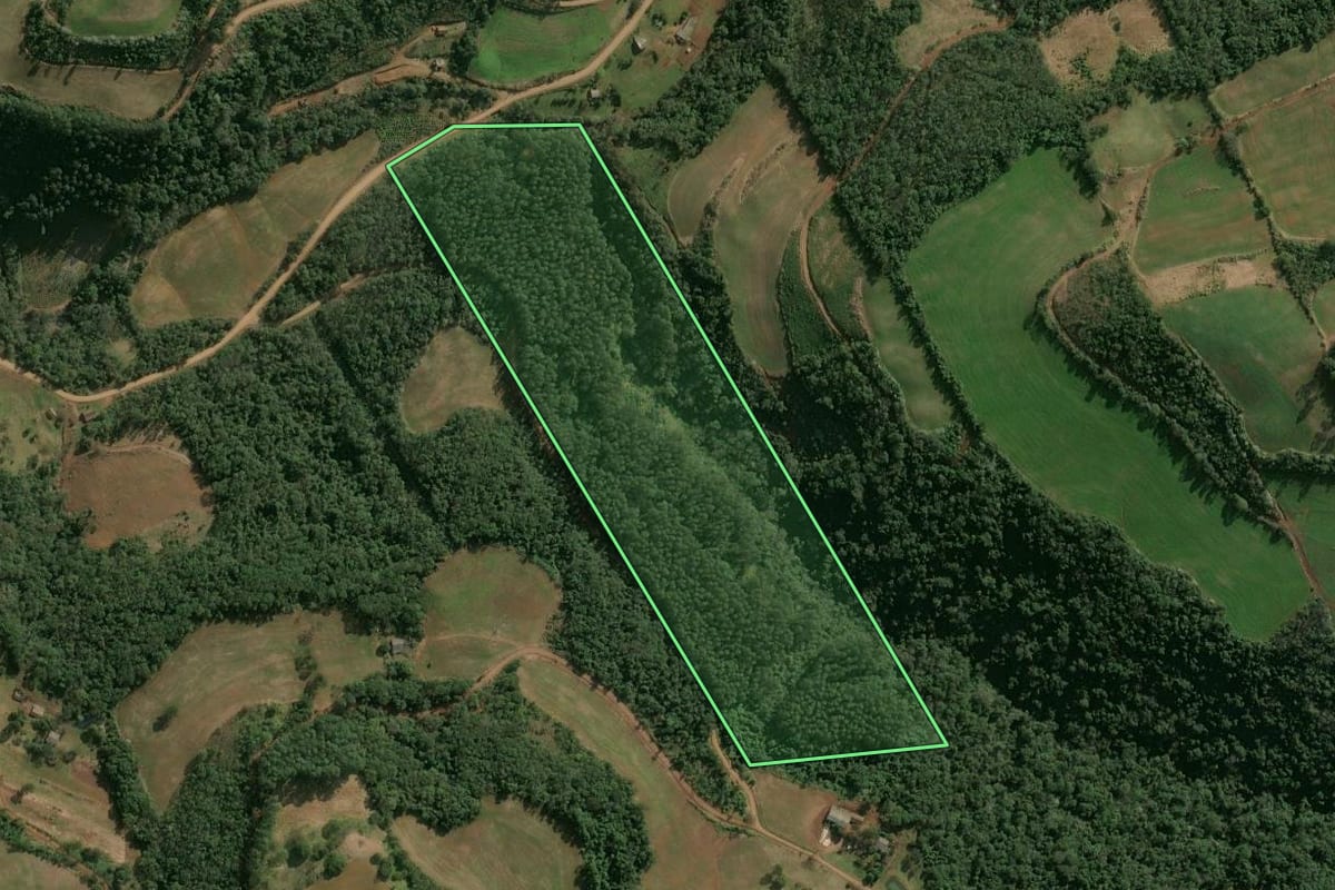 Imagem de satélite do imóvel rural em São Valentim (RS), com o contorno declarado no CAR desenhado por cima.