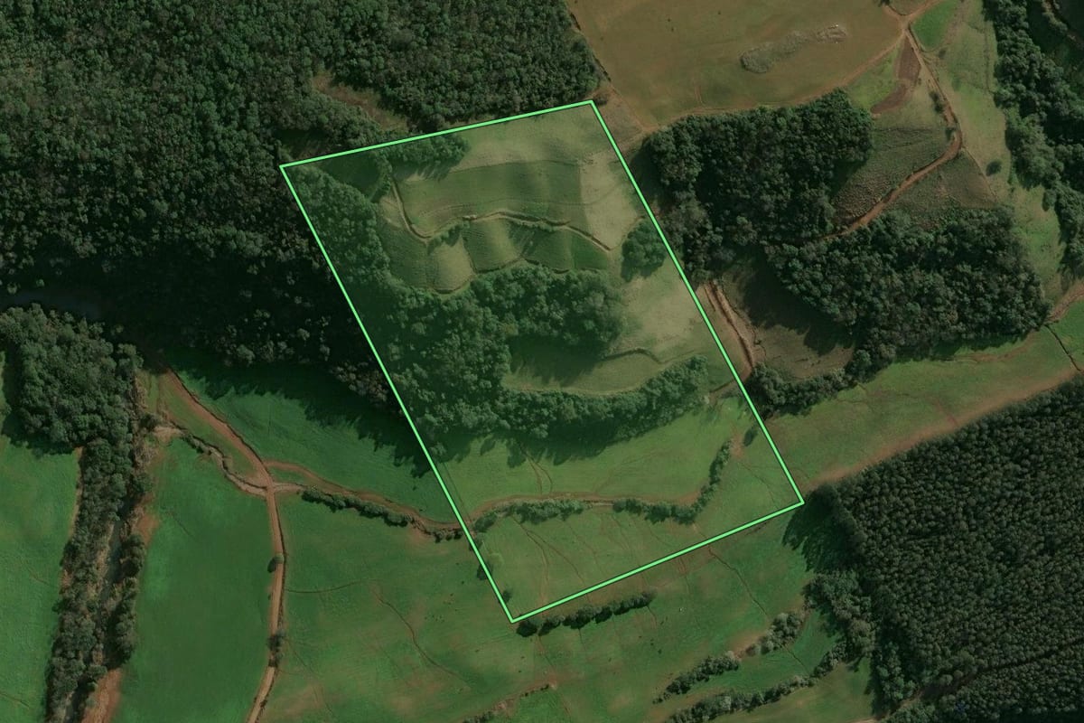 Imagem de satélite do imóvel rural em São Valentim (RS), com o contorno declarado no CAR desenhado por cima.