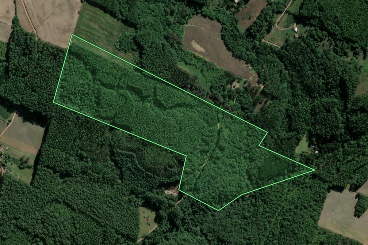 Imagem de satélite do imóvel rural em São Valentim do Sul (RS), com o contorno declarado no CAR desenhado por cima.