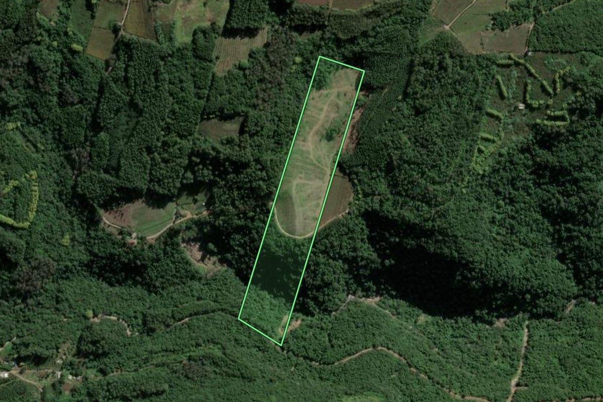 Imagem de satélite do imóvel rural em São Valentim do Sul (RS), com o contorno declarado no CAR desenhado por cima.