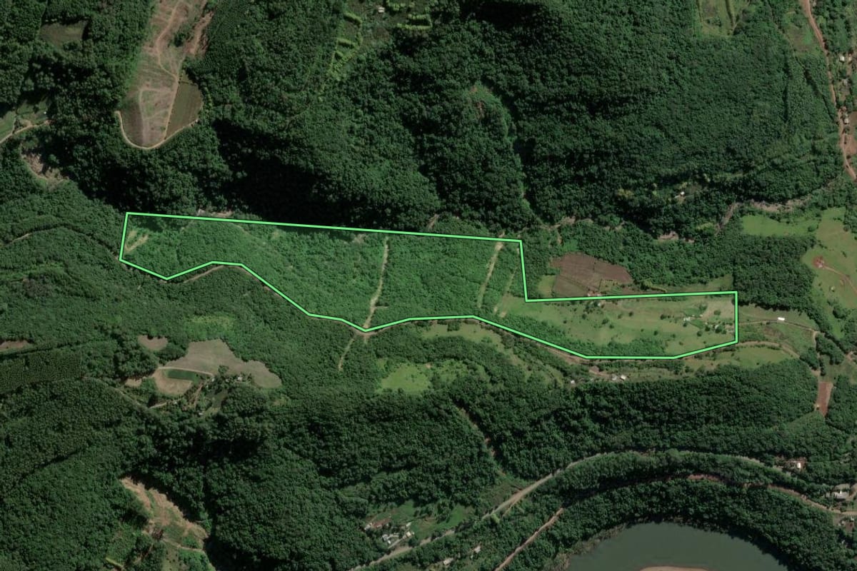 Imagem de satélite do imóvel rural em São Valentim do Sul (RS), com o contorno declarado no CAR desenhado por cima.