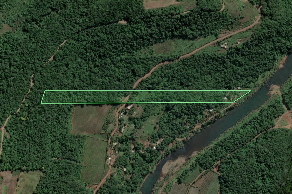 Imagem de satélite do imóvel rural em São Valentim do Sul (RS), com o contorno declarado no CAR desenhado por cima.