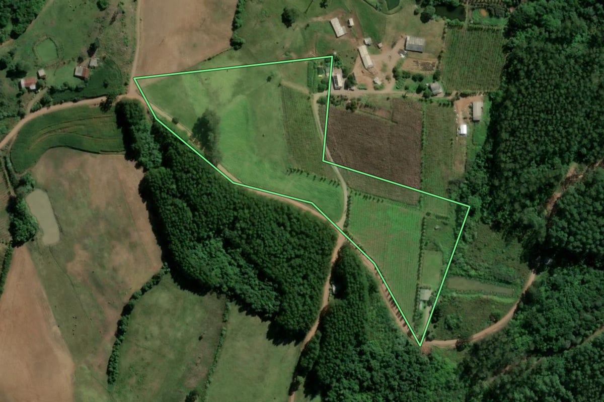 Imagem de satélite do imóvel rural em São Valentim do Sul (RS), com o contorno declarado no CAR desenhado por cima.