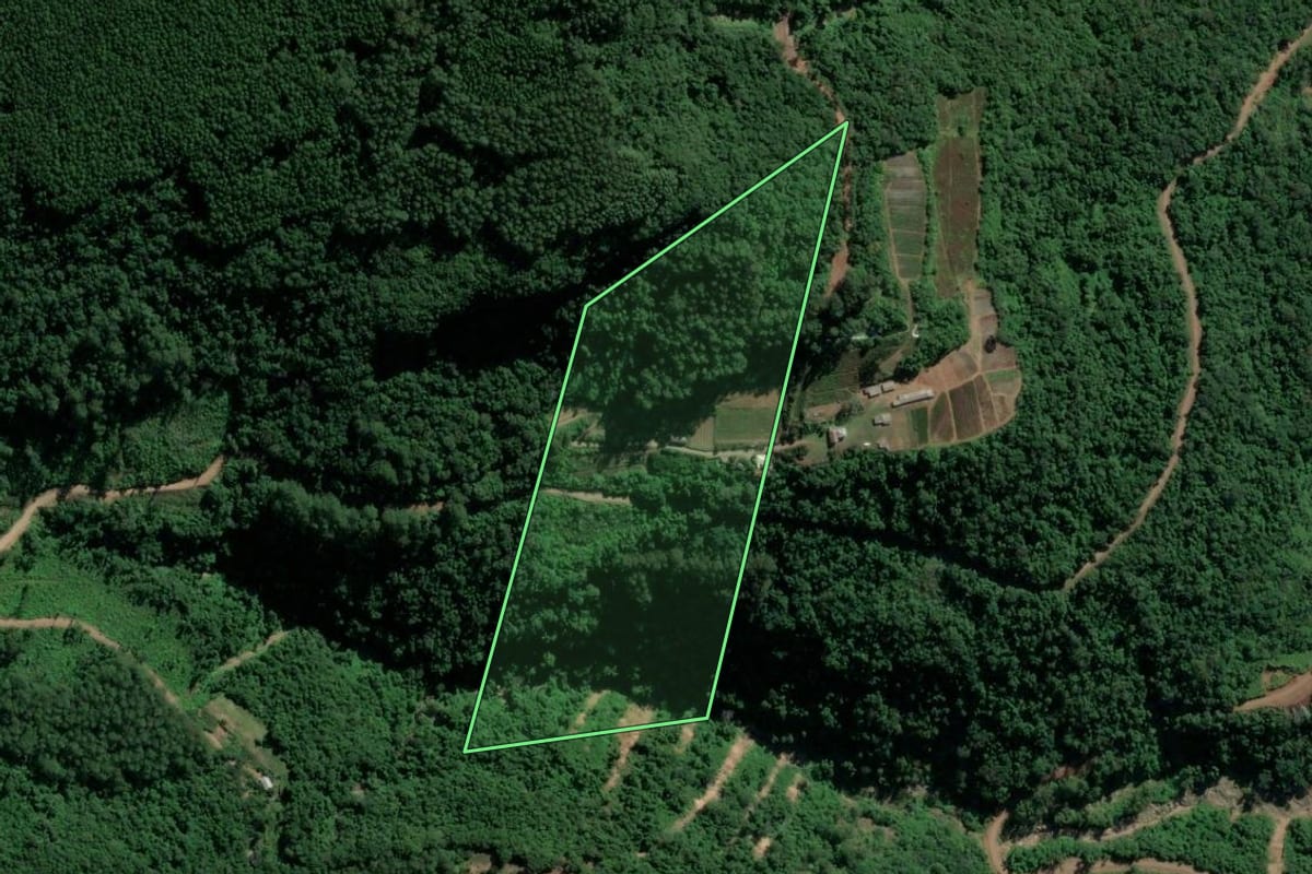 Imagem de satélite do imóvel rural em São Valentim do Sul (RS), com o contorno declarado no CAR desenhado por cima.