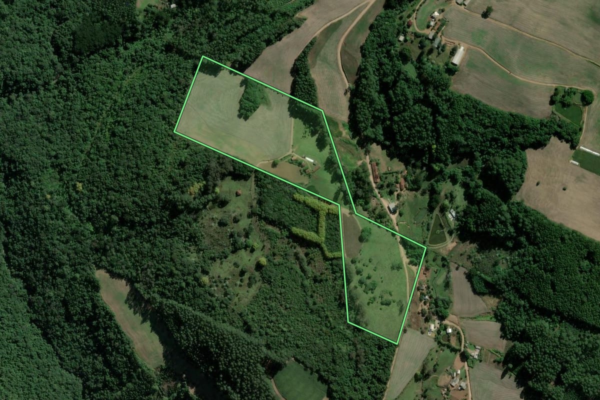 Imagem de satélite do imóvel rural em São Valentim do Sul (RS), com o contorno declarado no CAR desenhado por cima.