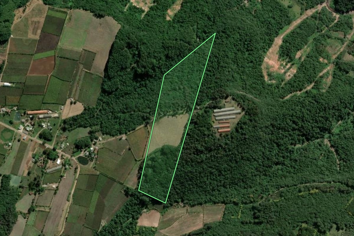 Imagem de satélite do imóvel rural em São Valentim do Sul (RS), com o contorno declarado no CAR desenhado por cima.