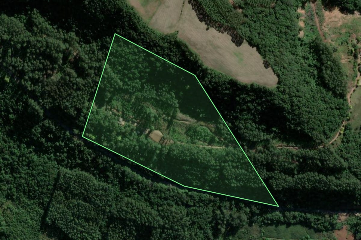 Imagem de satélite do imóvel rural em São Valentim do Sul (RS), com o contorno declarado no CAR desenhado por cima.