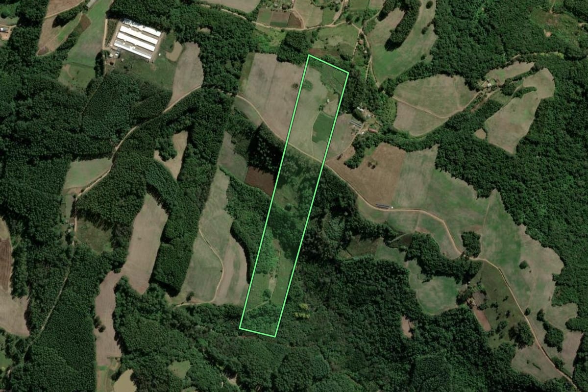 Imagem de satélite do imóvel rural em São Valentim do Sul (RS), com o contorno declarado no CAR desenhado por cima.