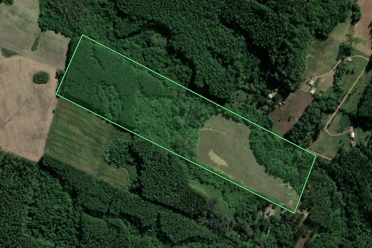 Imagem de satélite do imóvel rural em São Valentim do Sul (RS), com o contorno declarado no CAR desenhado por cima.