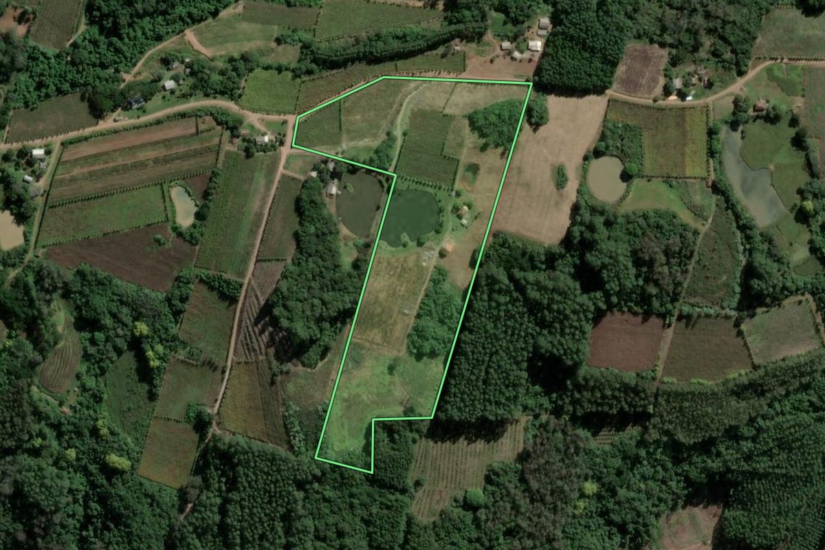 Imagem de satélite do imóvel rural em São Valentim do Sul (RS), com o contorno declarado no CAR desenhado por cima.