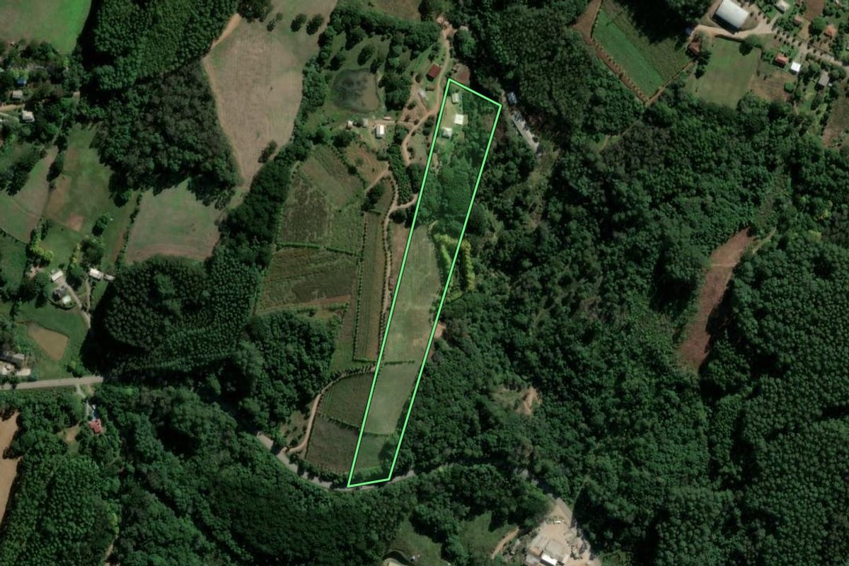 Imagem de satélite do imóvel rural em São Valentim do Sul (RS), com o contorno declarado no CAR desenhado por cima.
