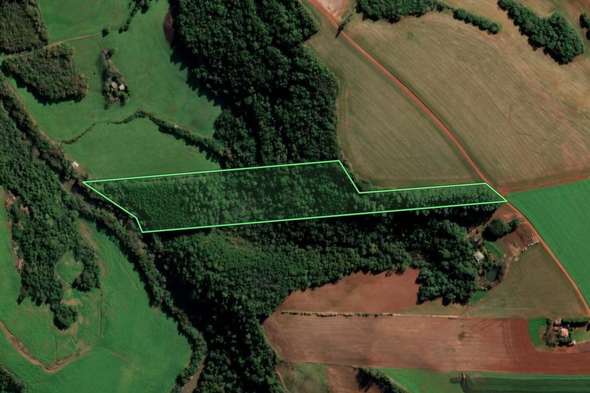 Imagem de satélite do imóvel rural em São Valério do Sul (RS), com o contorno declarado no CAR desenhado por cima.
