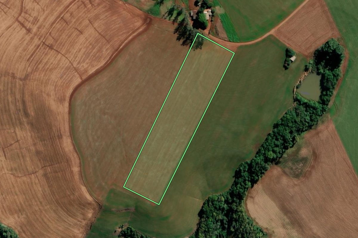 Imagem de satélite do imóvel rural em São Valério do Sul (RS), com o contorno declarado no CAR desenhado por cima.