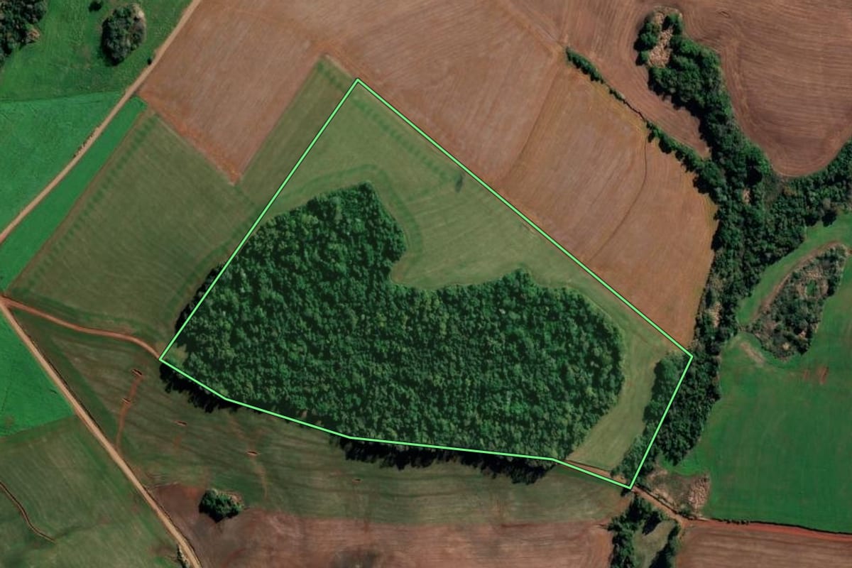 Imagem de satélite do imóvel rural em São Valério do Sul (RS), com o contorno declarado no CAR desenhado por cima.