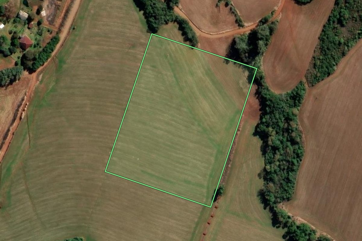 Imagem de satélite do imóvel rural em São Valério do Sul (RS), com o contorno declarado no CAR desenhado por cima.