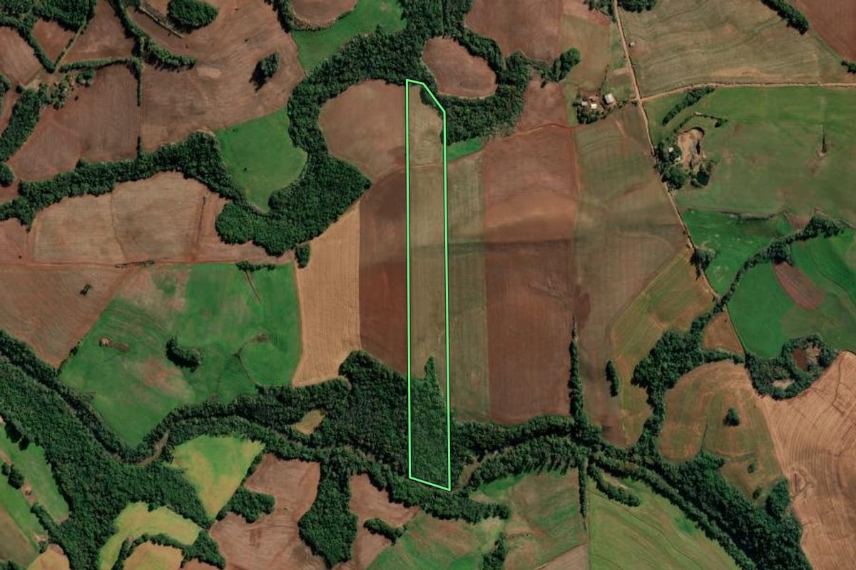 Imagem de satélite do imóvel rural em São Valério do Sul (RS), com o contorno declarado no CAR desenhado por cima.