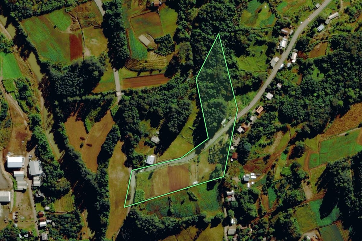 Imagem de satélite do imóvel rural em São Vendelino (RS), com o contorno declarado no CAR desenhado por cima.