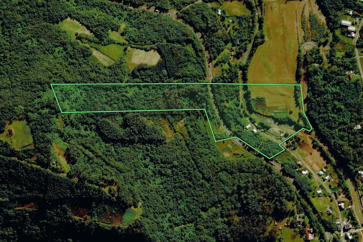 Imagem de satélite do imóvel rural em São Vendelino (RS), com o contorno declarado no CAR desenhado por cima.