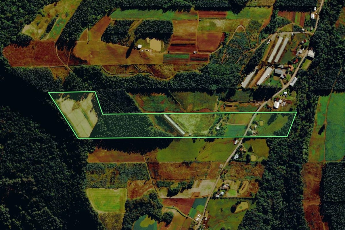 Imagem de satélite do imóvel rural em São Vendelino (RS), com o contorno declarado no CAR desenhado por cima.