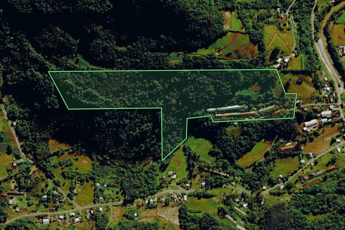 Imagem de satélite do imóvel rural em São Vendelino (RS), com o contorno declarado no CAR desenhado por cima.