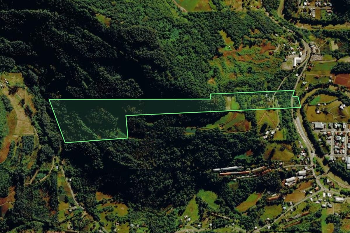 Imagem de satélite do imóvel rural em São Vendelino (RS), com o contorno declarado no CAR desenhado por cima.