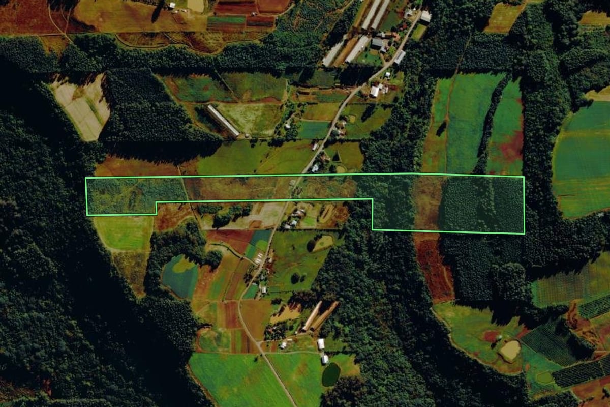 Imagem de satélite do imóvel rural em São Vendelino (RS), com o contorno declarado no CAR desenhado por cima.