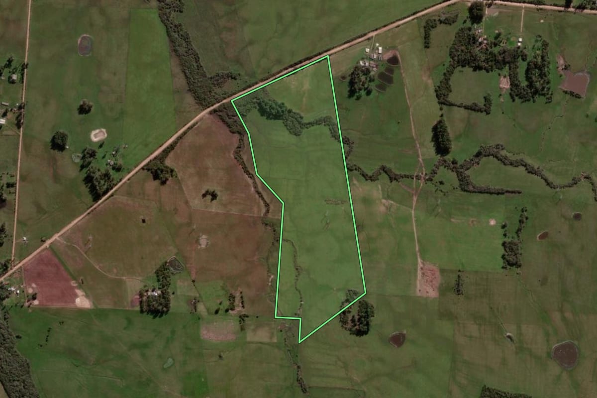Imagem de satélite do imóvel rural em São Vicente do Sul (RS), com o contorno declarado no CAR desenhado por cima.