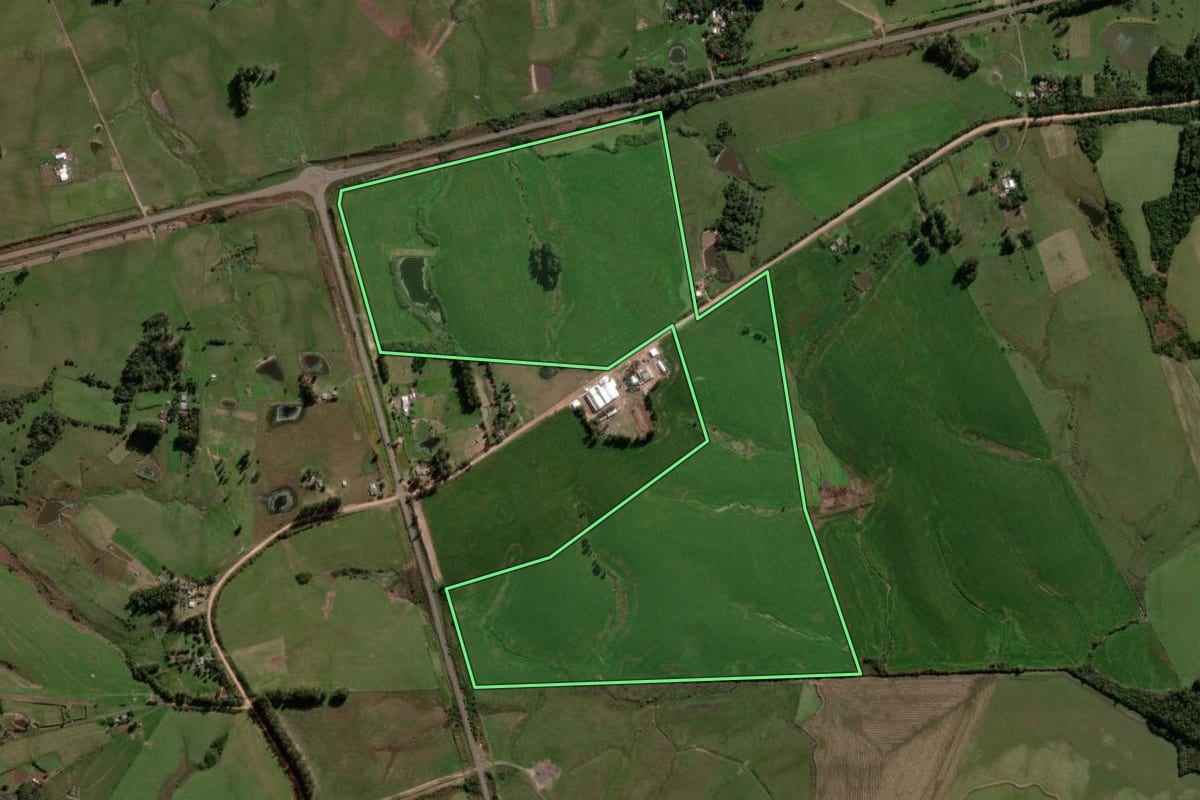 Imagem de satélite do imóvel rural em São Vicente do Sul (RS), com o contorno declarado no CAR desenhado por cima.