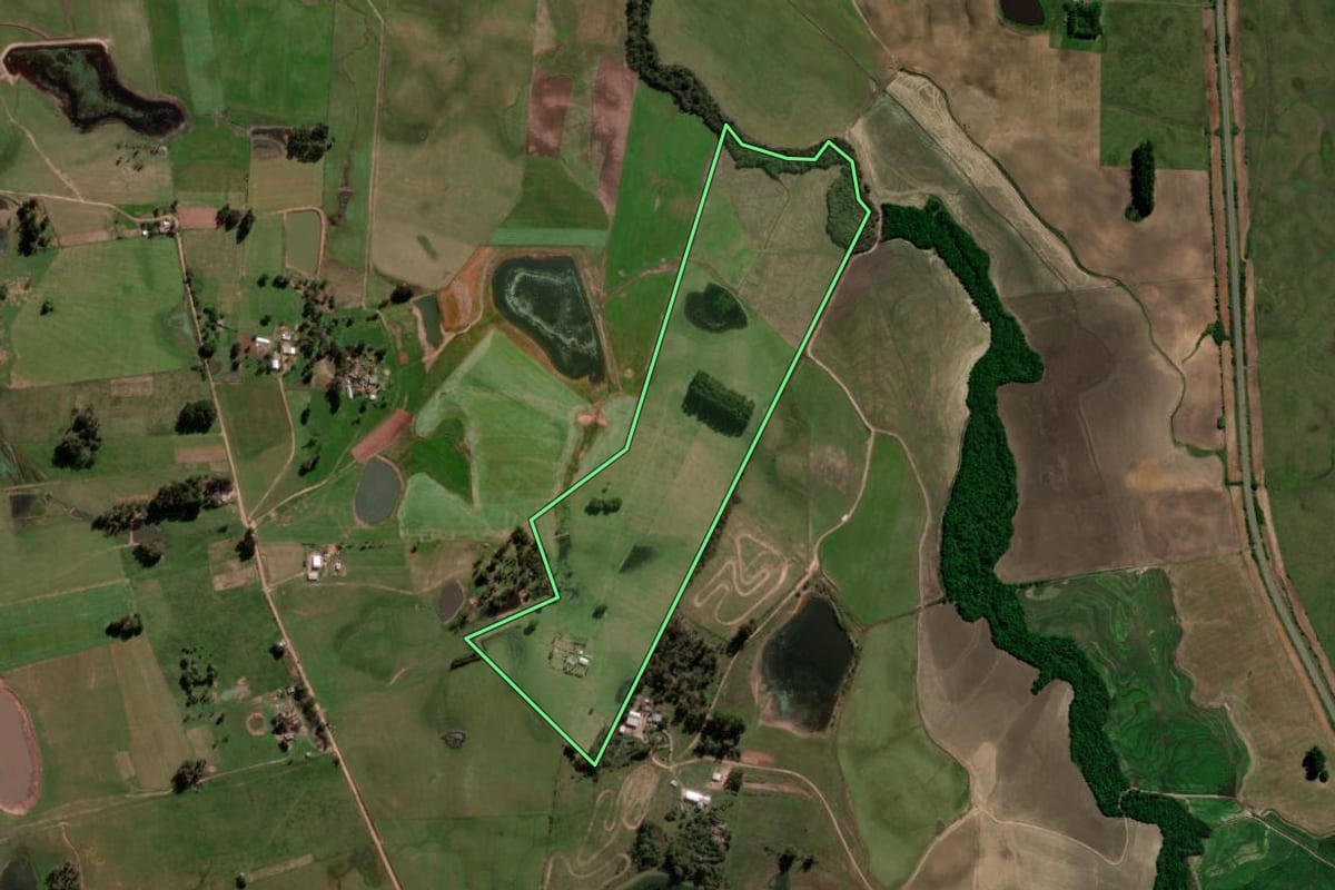 Imagem de satélite do imóvel rural em São Vicente do Sul (RS), com o contorno declarado no CAR desenhado por cima.