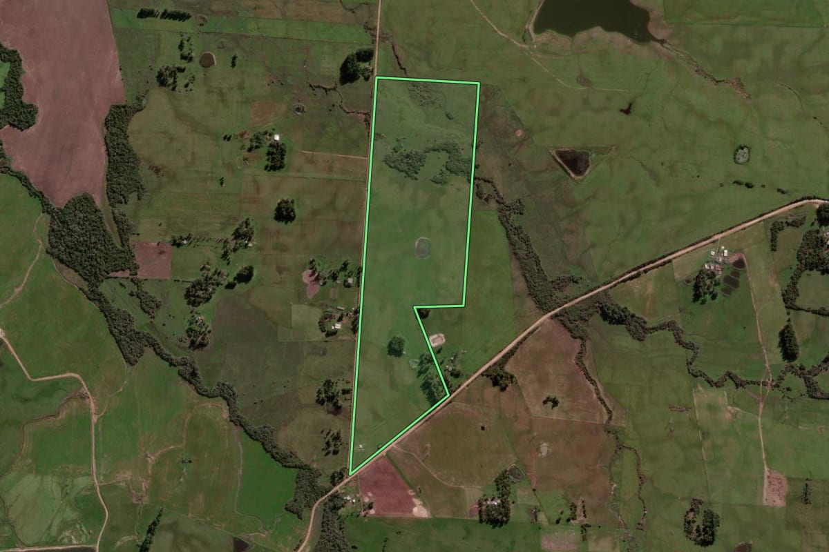 Imagem de satélite do imóvel rural em São Vicente do Sul (RS), com o contorno declarado no CAR desenhado por cima.