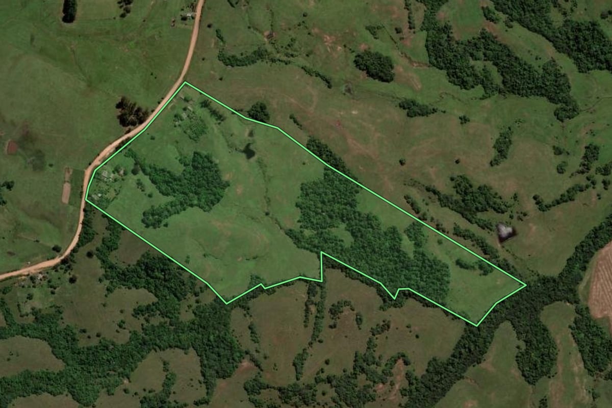 Imagem de satélite do imóvel rural em São Vicente do Sul (RS), com o contorno declarado no CAR desenhado por cima.