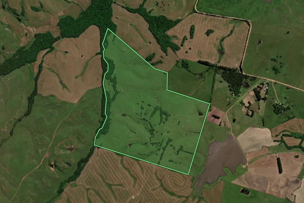 Imagem de satélite do imóvel rural em São Vicente do Sul (RS), com o contorno declarado no CAR desenhado por cima.