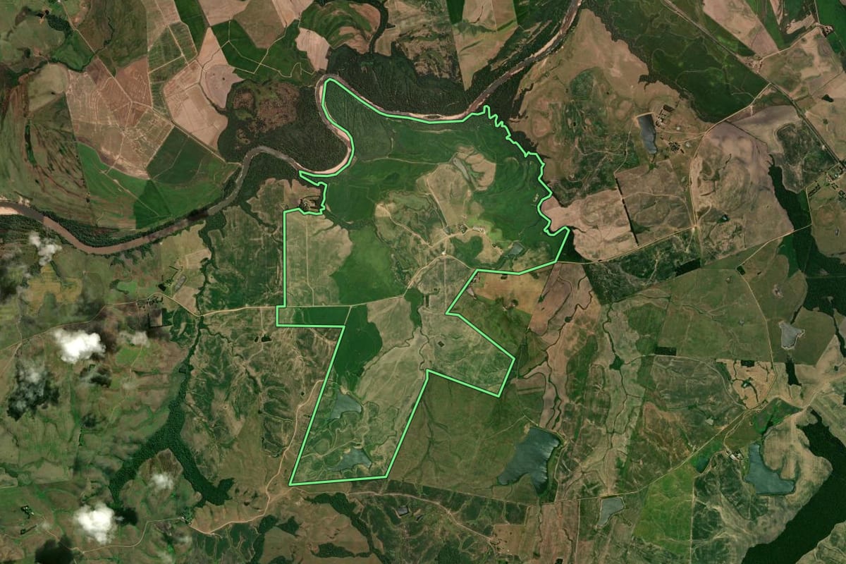 Imagem de satélite do imóvel rural em São Vicente do Sul (RS), com o contorno declarado no CAR desenhado por cima.