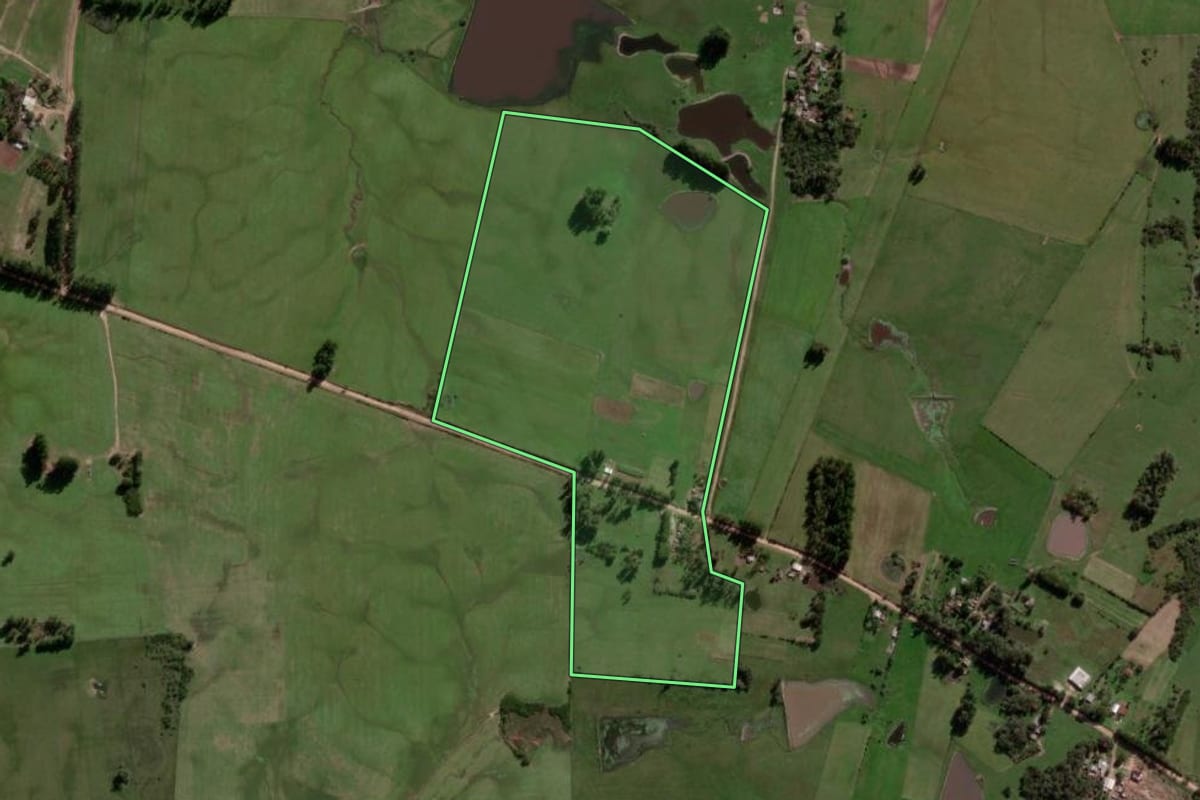Imagem de satélite do imóvel rural em São Vicente do Sul (RS), com o contorno declarado no CAR desenhado por cima.