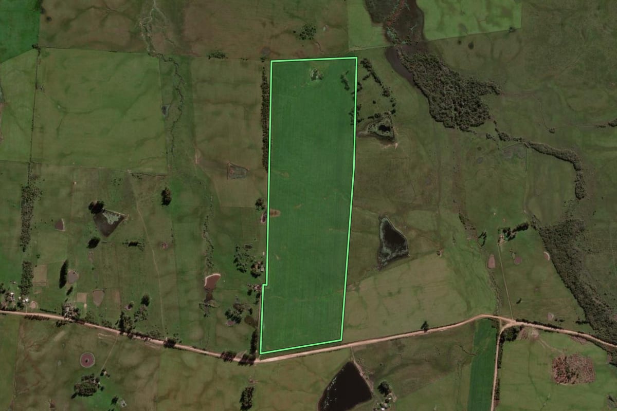 Imagem de satélite do imóvel rural em São Vicente do Sul (RS), com o contorno declarado no CAR desenhado por cima.