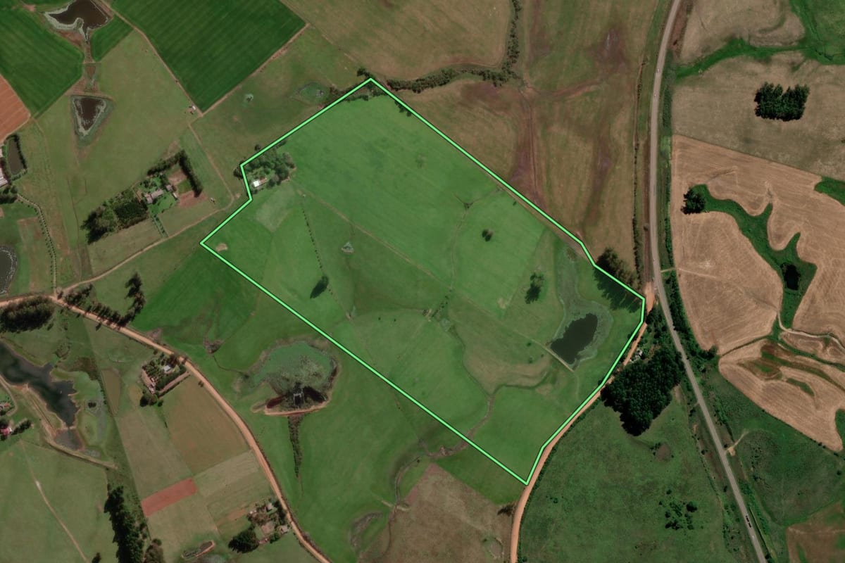 Imagem de satélite do imóvel rural em São Vicente do Sul (RS), com o contorno declarado no CAR desenhado por cima.