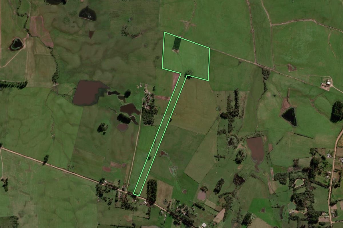 Imagem de satélite do imóvel rural em São Vicente do Sul (RS), com o contorno declarado no CAR desenhado por cima.