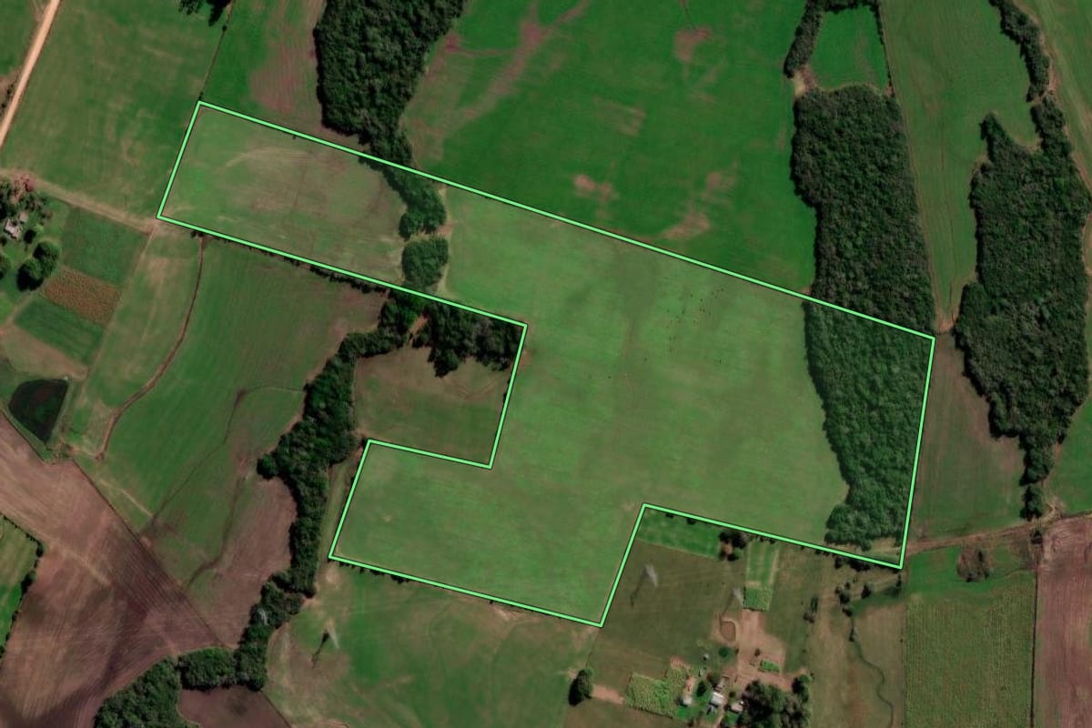 Imagem de satélite do imóvel rural em São Vicente do Sul (RS), com o contorno declarado no CAR desenhado por cima.