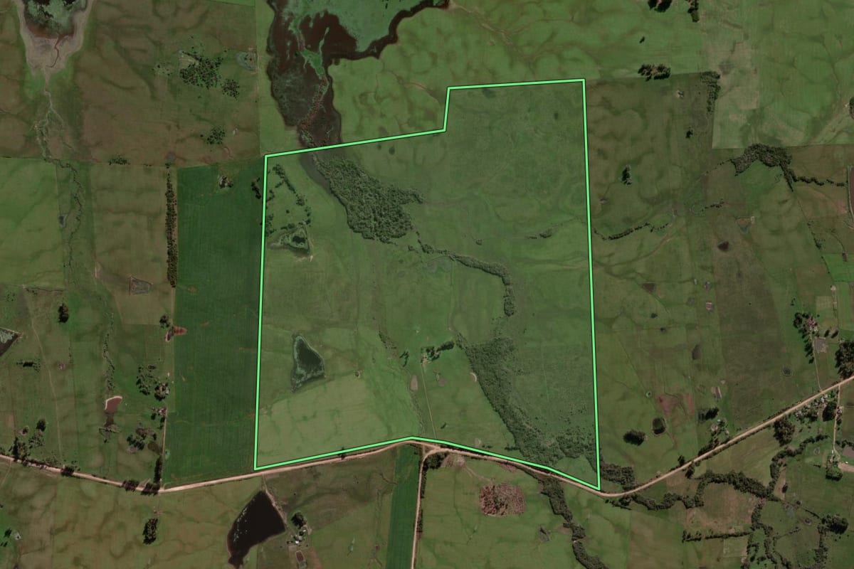 Imagem de satélite do imóvel rural em São Vicente do Sul (RS), com o contorno declarado no CAR desenhado por cima.