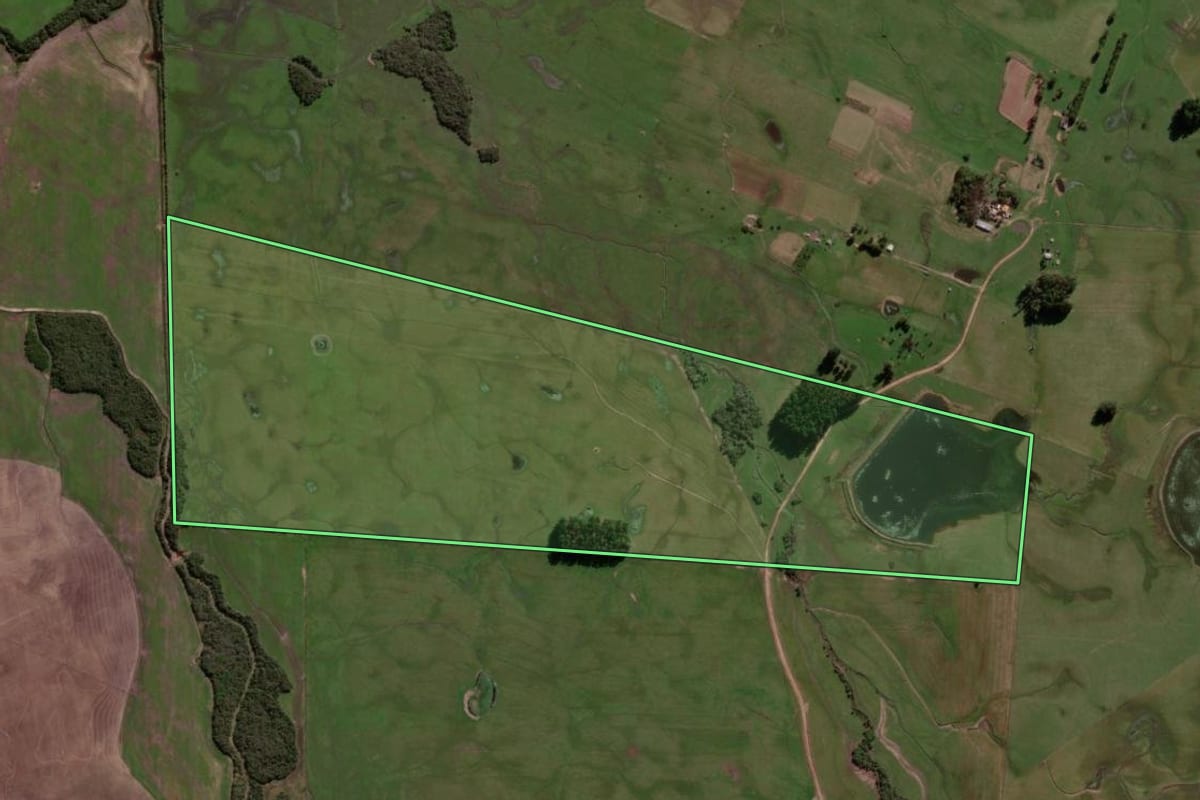 Imagem de satélite do imóvel rural em São Vicente do Sul (RS), com o contorno declarado no CAR desenhado por cima.