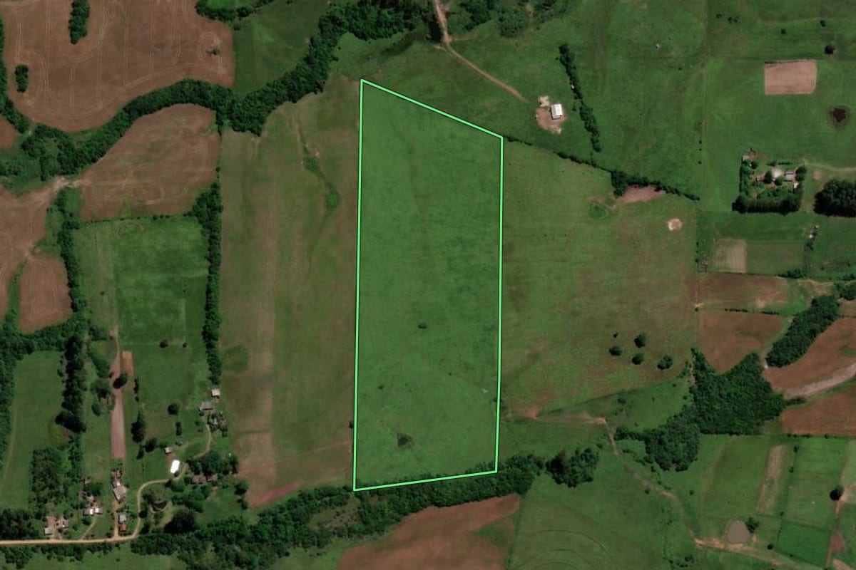 Imagem de satélite do imóvel rural em São Vicente do Sul (RS), com o contorno declarado no CAR desenhado por cima.