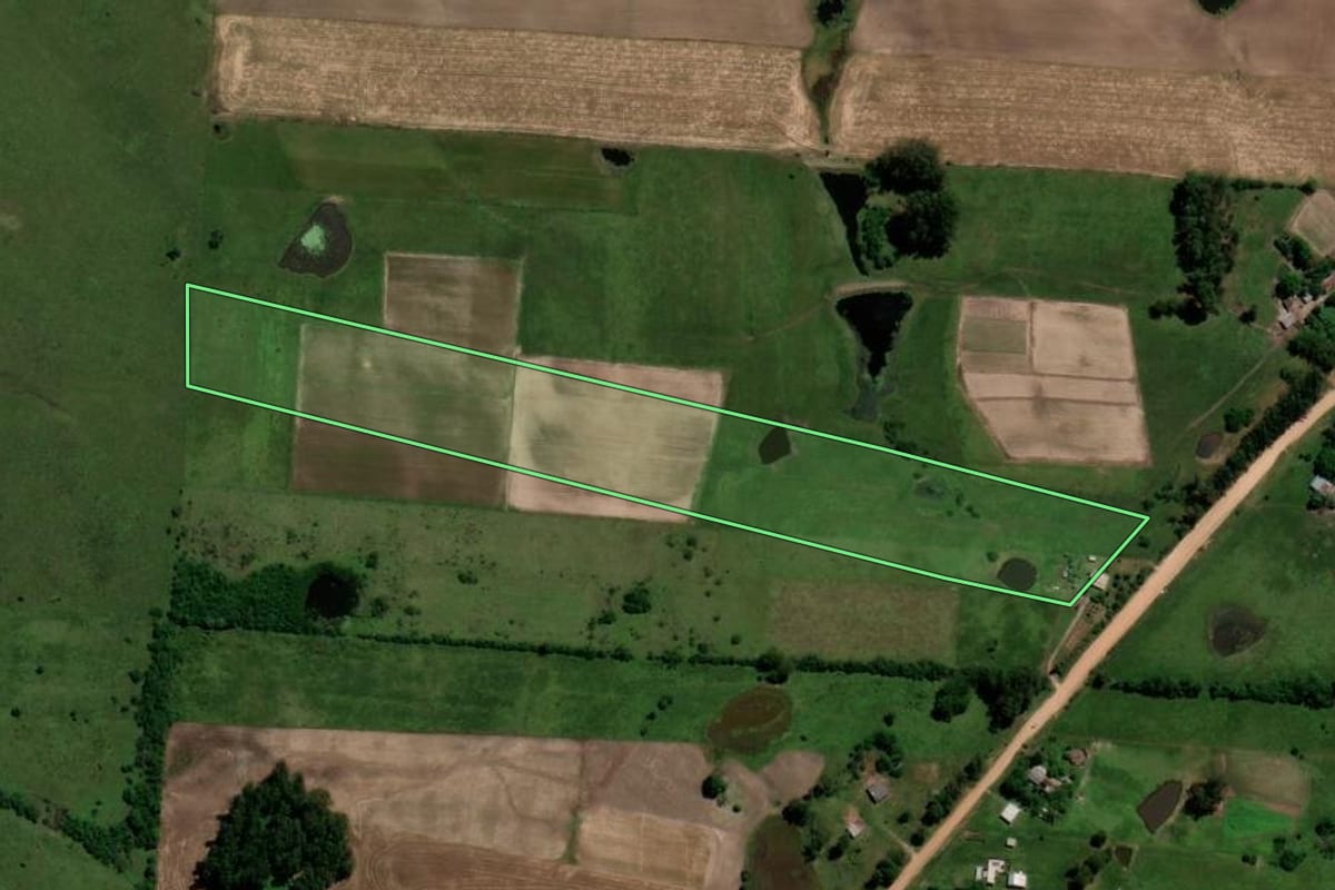 Imagem de satélite do imóvel rural em São Vicente do Sul (RS), com o contorno declarado no CAR desenhado por cima.