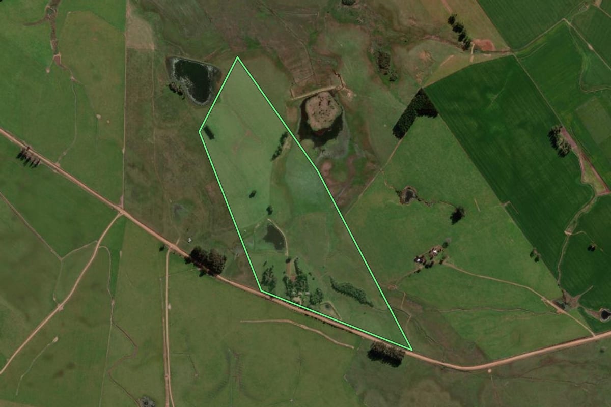 Imagem de satélite do imóvel rural em São Vicente do Sul (RS), com o contorno declarado no CAR desenhado por cima.