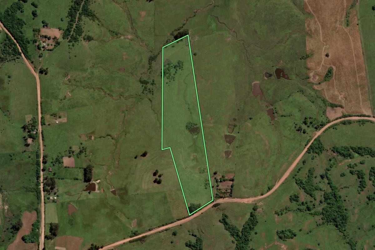 Imagem de satélite do imóvel rural em São Vicente do Sul (RS), com o contorno declarado no CAR desenhado por cima.