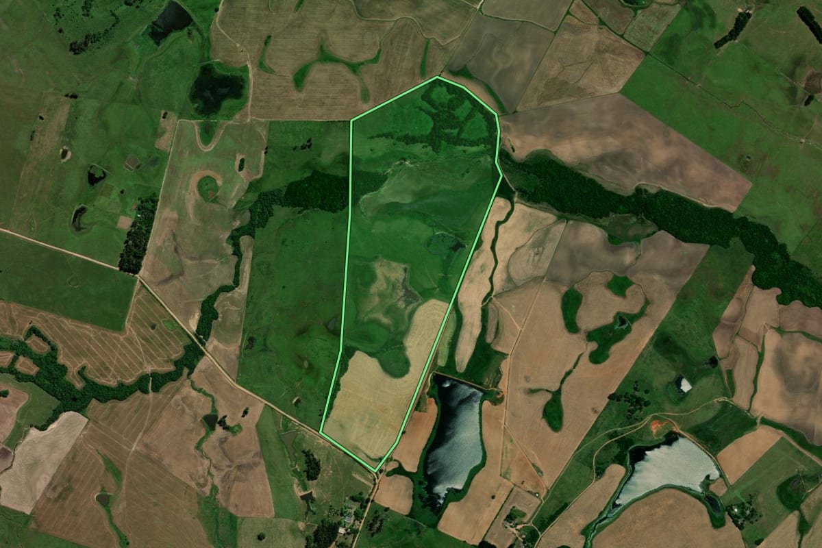 Imagem de satélite do imóvel rural em São Vicente do Sul (RS), com o contorno declarado no CAR desenhado por cima.