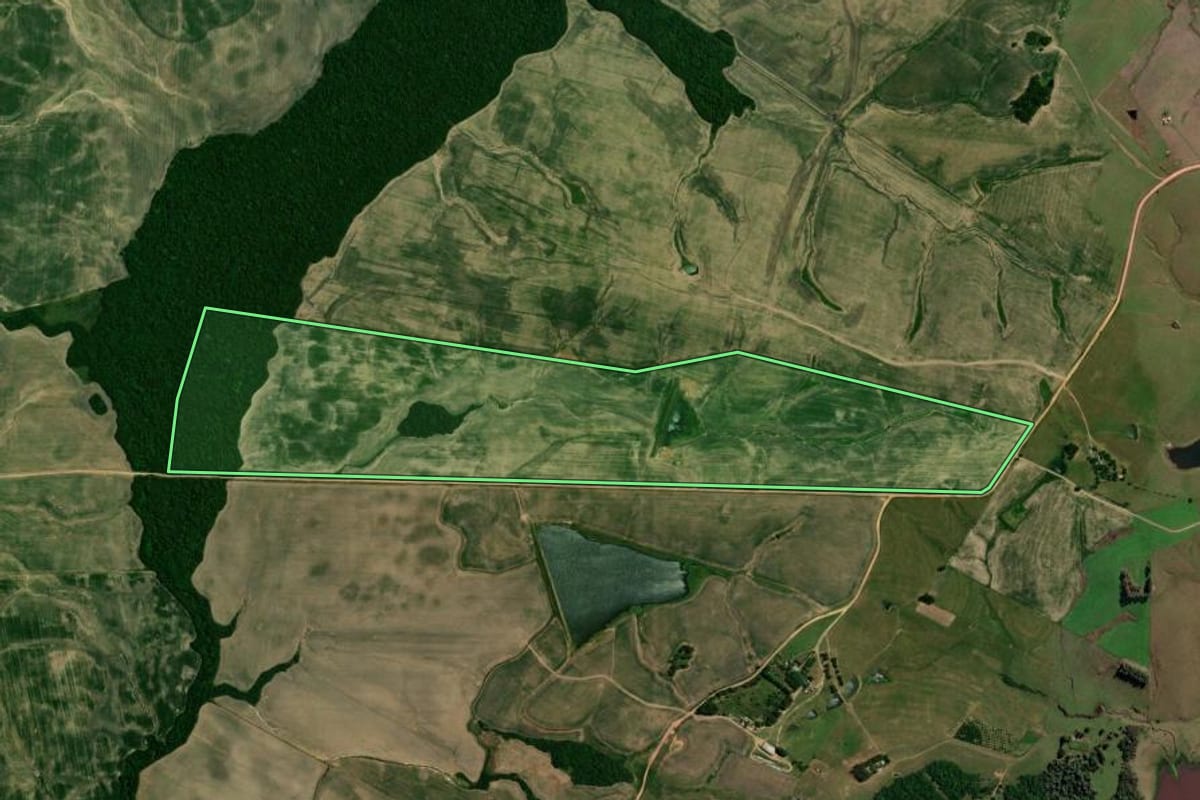 Imagem de satélite do imóvel rural em São Vicente do Sul (RS), com o contorno declarado no CAR desenhado por cima.