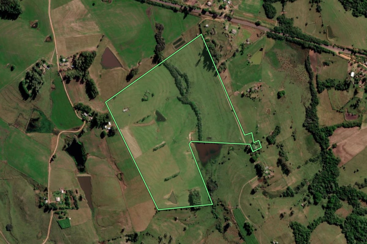 Imagem de satélite do imóvel rural em São Vicente do Sul (RS), com o contorno declarado no CAR desenhado por cima.