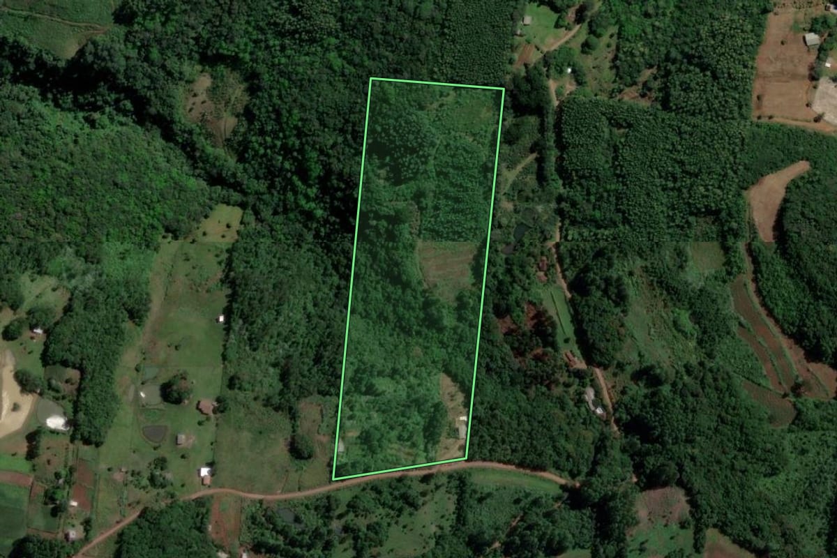 Imagem de satélite do imóvel rural em Sapiranga (RS), com o contorno declarado no CAR desenhado por cima.