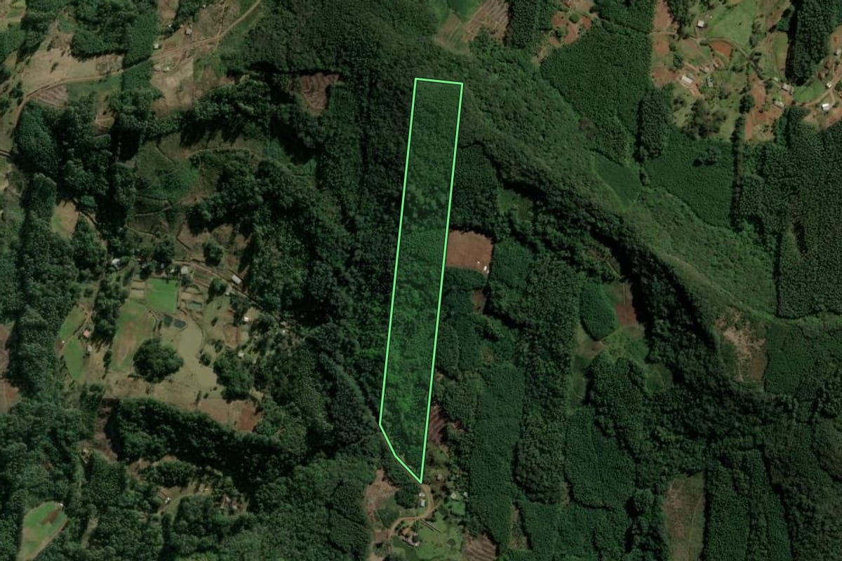 Imagem de satélite do imóvel rural em Sapiranga (RS), com o contorno declarado no CAR desenhado por cima.