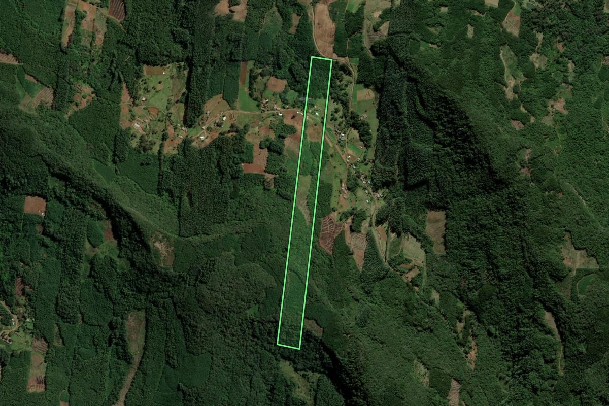 Imagem de satélite do imóvel rural em Sapiranga (RS), com o contorno declarado no CAR desenhado por cima.